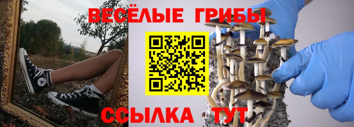 Галлюциногенные грибы прущие грибы Красногорск